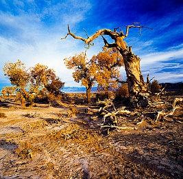 七家独立游戏发行商结盟 8月31日举办首场Direct活动